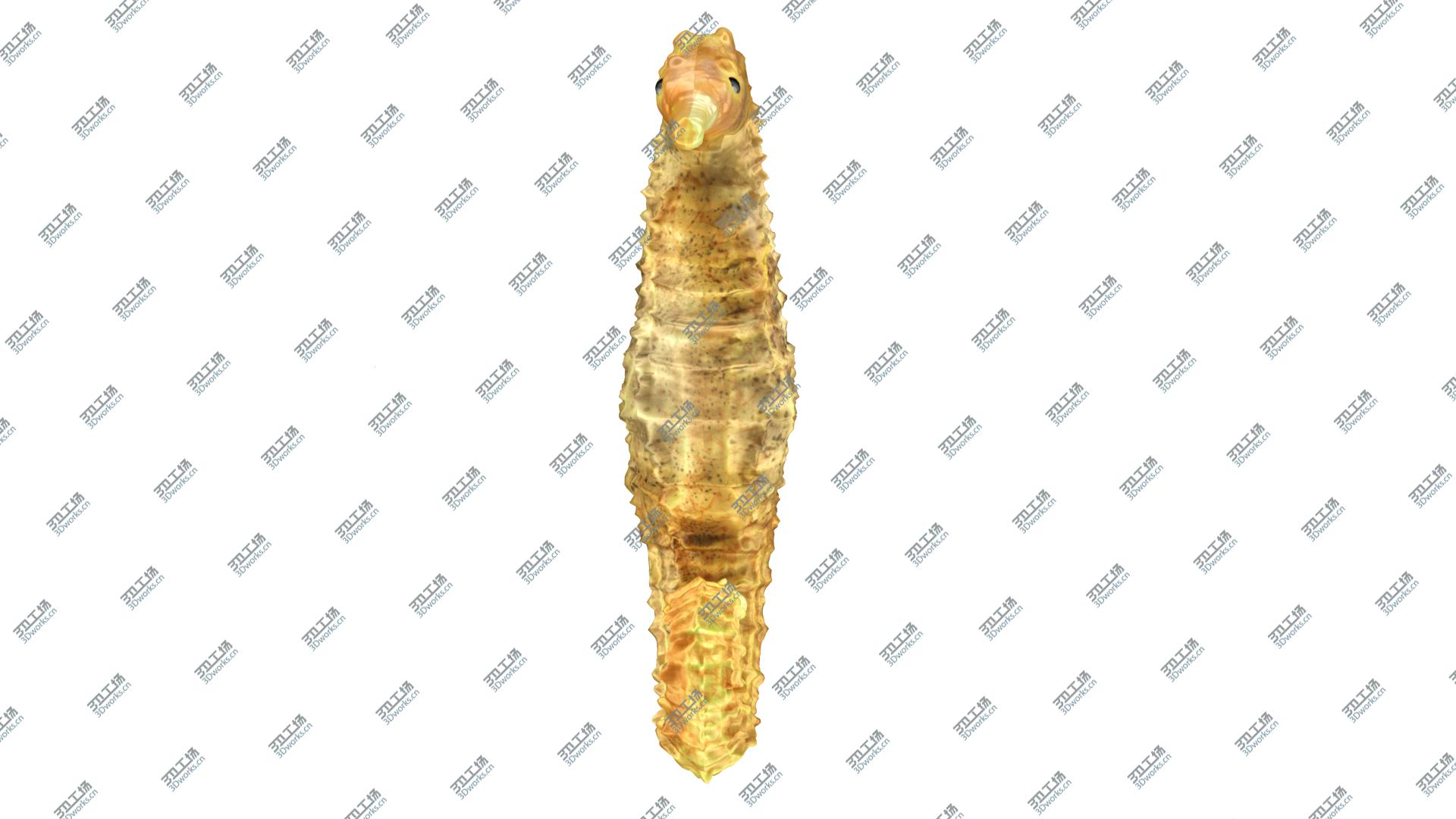 images/goods_img/202105074/3D Sea Horse/4.jpg